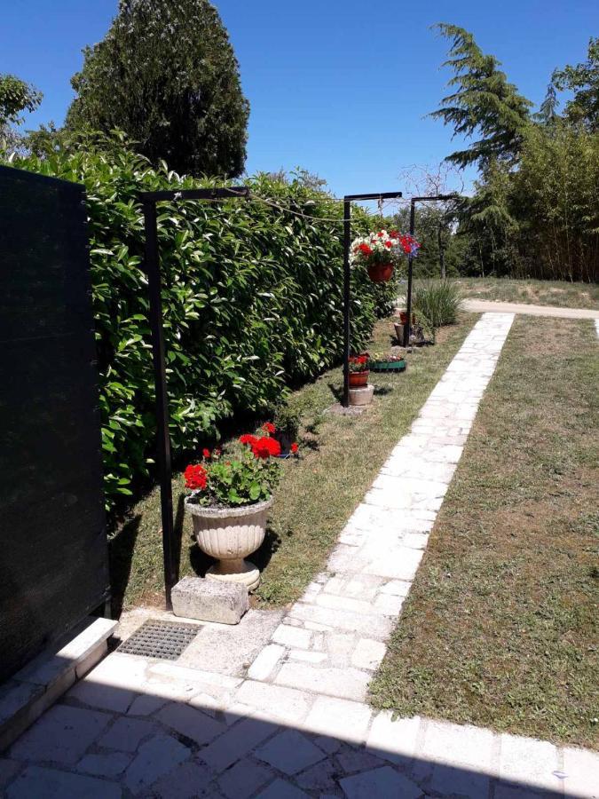 Apartment Nena- Apartman Sa Posebnim Ulazom U Prizemlju, Terasom I Zelenom Okucnicom Rakotule المظهر الخارجي الصورة