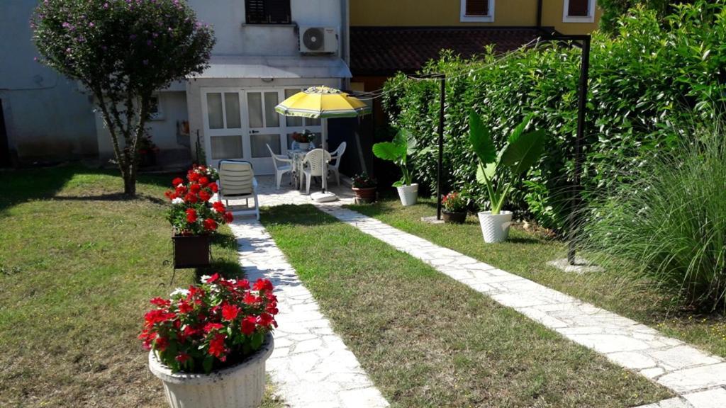 Apartment Nena- Apartman Sa Posebnim Ulazom U Prizemlju, Terasom I Zelenom Okucnicom Rakotule المظهر الخارجي الصورة